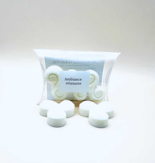 🌿 Fondants parfumés Ambiance Relaxante - Notes Orangées, épicées