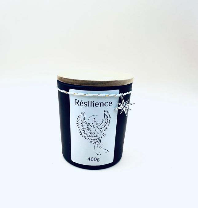 Bougie parfumée Résilience - Notes Musquées / Boisées