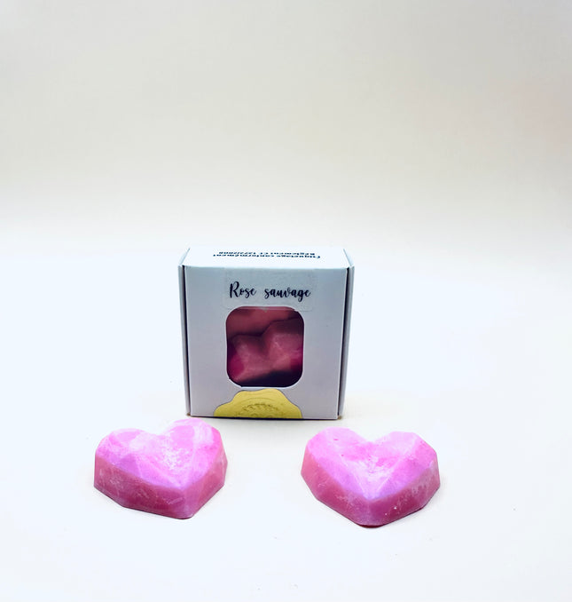 Rose Sauvage 🌸 Lot de 2 Fondants Parfumés