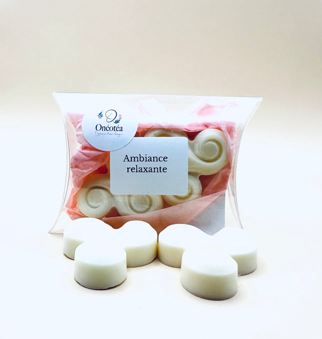 Ambiance relaxante - Notes Orangées, hespéridées, épicées🌿 Fondants parfumés