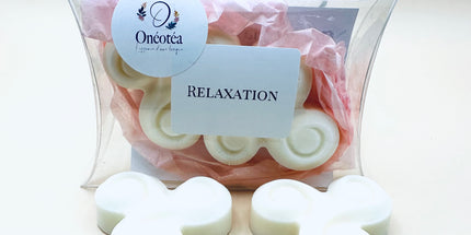 Relaxation - Notes fraîches et vivifiantes 🌿 Lot de 2 Fondants Parfumés