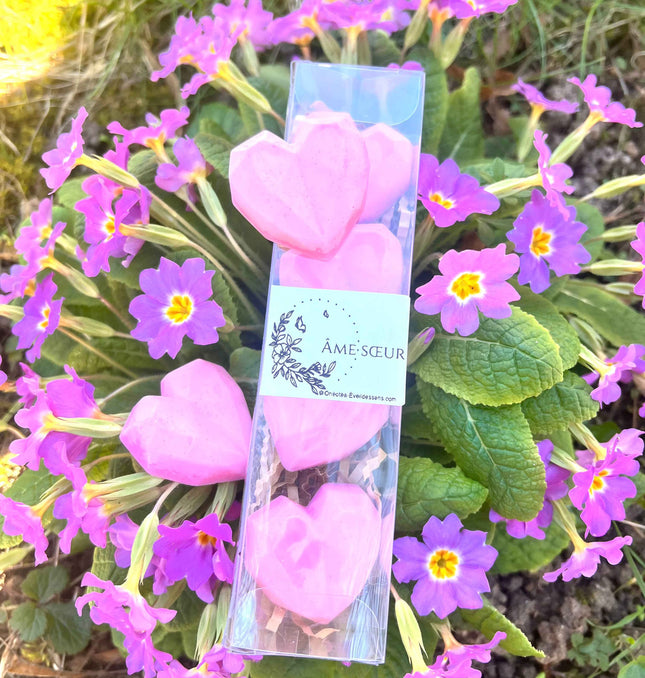 Fondants parfumés "Âmes Soeur"