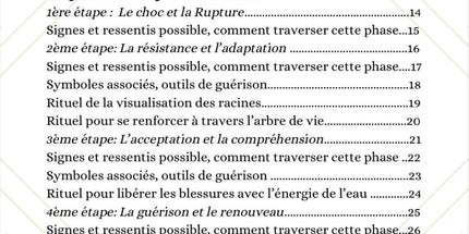 L'Écrin de La Résilience - Ouvrage pour votre développement Personnel Par Sabrina Planchez