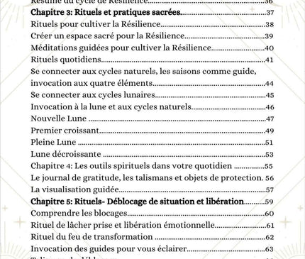 Couverture du livre L'Écrin de La Résilience de Sabrina Planchez pour le développement personnel