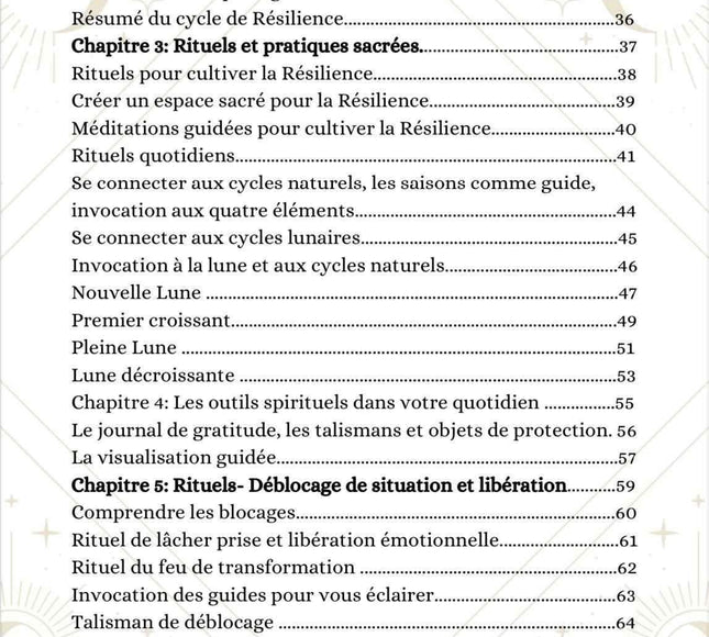 Couverture du livre L'Écrin de La Résilience de Sabrina Planchez pour le développement personnel