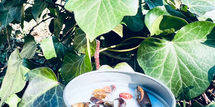 Bougie protection  "Oeil du Tigre & Oeil du Faucon"