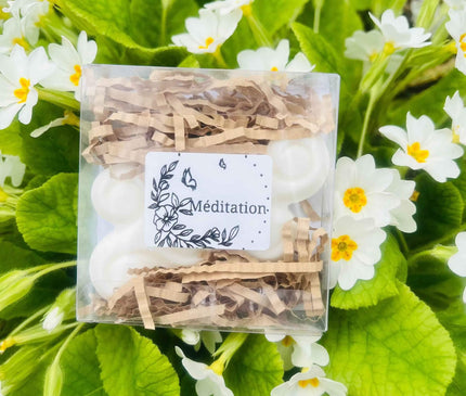 Lot de 2 fondants parfumés méditation en cire végétale pour ambiance zen et bien-être