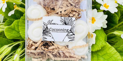 Fondants Parfumés " Instant Cocooning "