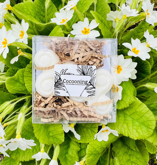 Fondants Parfumés " Instant Cocooning "