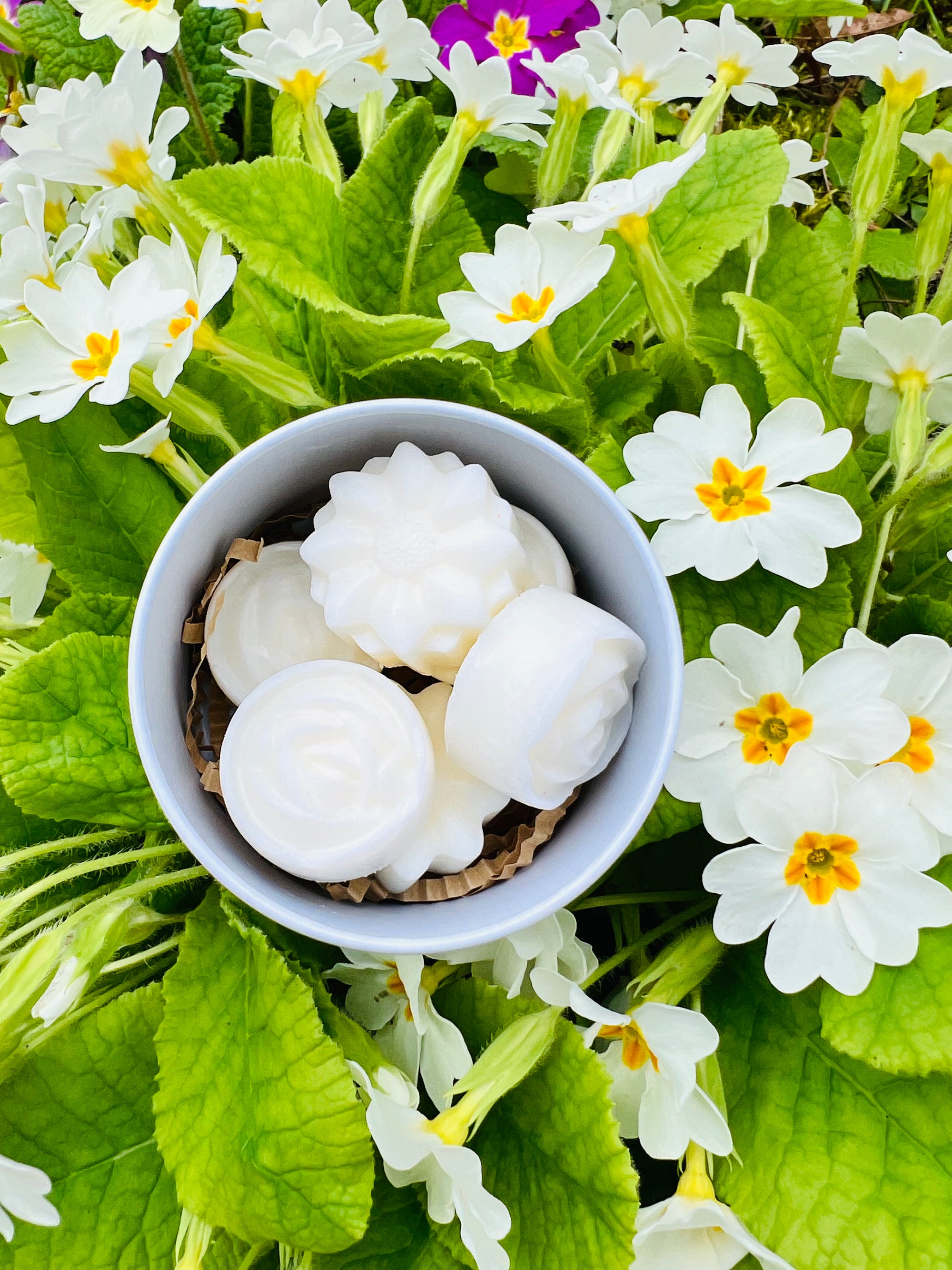 Visuel des fondants parfumés Ambre Patchouli de Onéotéa - Éveil des Sens, mettant en avant un assortiment de fondants en cire de soja, symbolisant la Résilience et la transformation intérieure. Chaque fondant diffuse le parfum raffiné de Grasse, évoquant l’ambre et le patchouli.