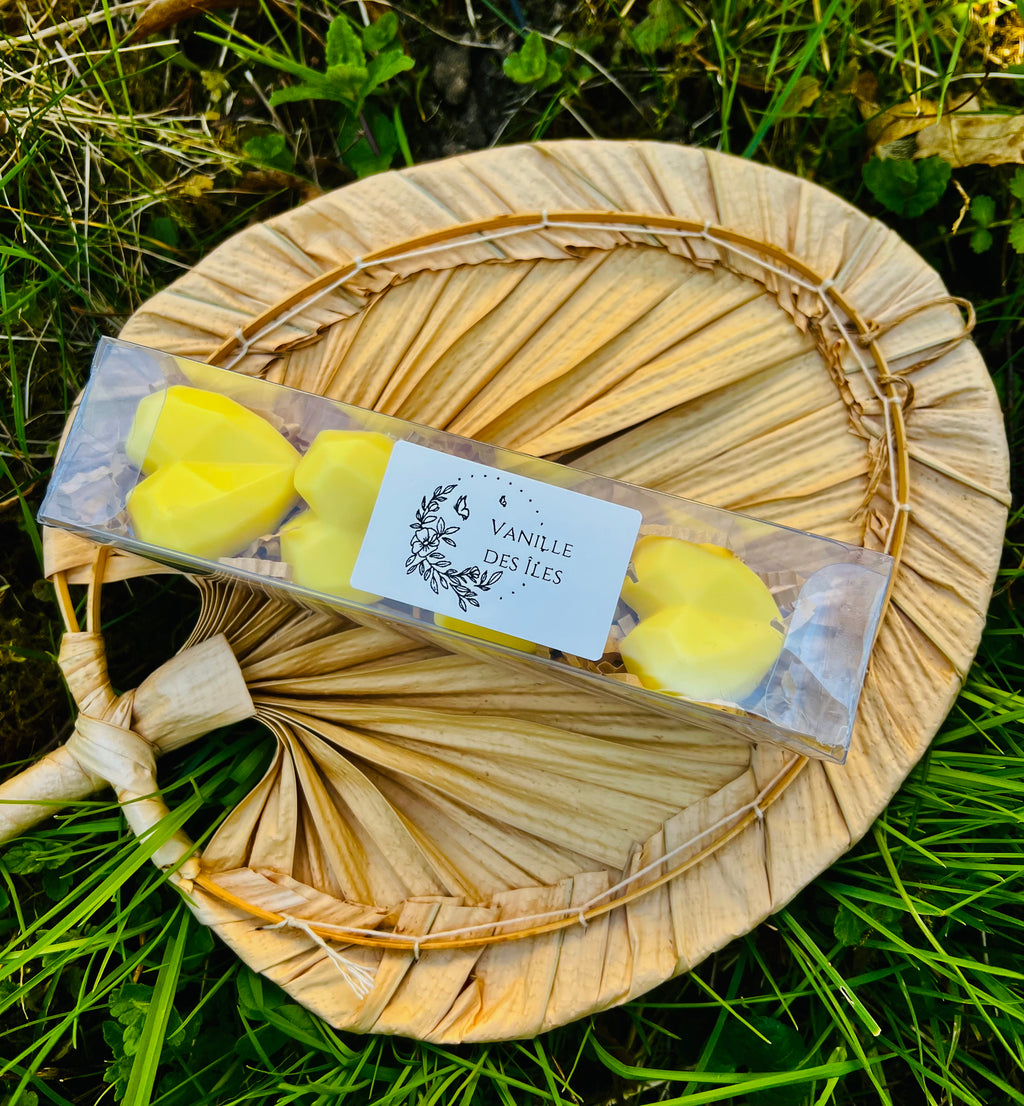 Vue d'un paquet de fondants parfumés "Vanille des îles" de la marque Onéotéa - Éveil des Sens, contenant des fondants en forme de cœur. À base de parfum de Grasse, ces fondants parfumés évoquent des arômes gourmands de vanille des îles.