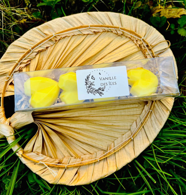 Fondants parfumés "Vanille des îles"