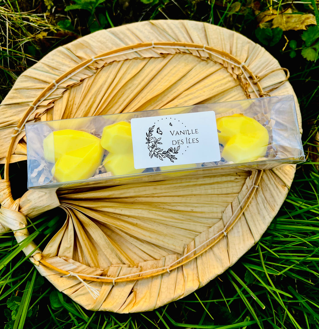 Présentation de fondants parfumés "Vanille des îles" d'Onéotéa - Éveil des Sens, situés sur un dessous de plat en feuilles. Ces fondants parfumés, au parfum de Grasse, capturent l'essence gourmande et chaleureuse de la vanille des îles.
