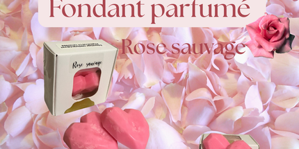 🌸 Fondants Parfumés – Rose Sauvage - Onéotéa - Éveil des Sens