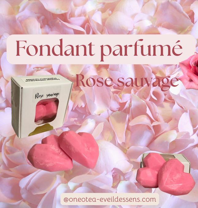 🌸 Fondants Parfumés – Rose Sauvage - Onéotéa - Éveil des Sens