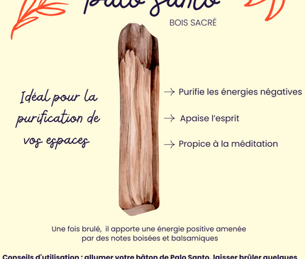 Bâton de Palo Santo naturel pour purification et harmonie spirituelle