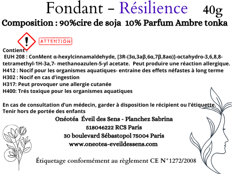 Fondants parfumés Ambre Tonka, un voyage olfactif vers la résilience, la transformation, et l'apaisement émotionnel.