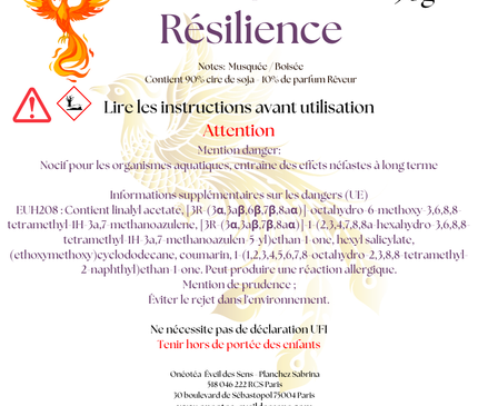 Lot de 4 fondants parfumés Résilience Musqués Boisés en cire de soja, parfum chaleureux et apaisant, contenant réutilisable écologique.