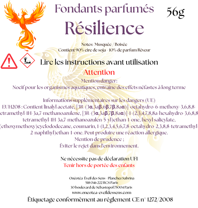Résilience - Musqués Boisés🌿 Lot de 4 Fondants Parfumés