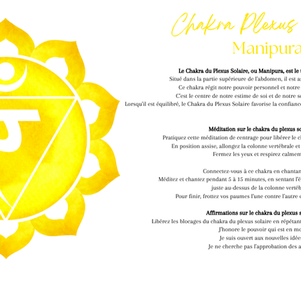 Fiole artisanale chakra plexus solaire avec pierres jaunes et herbes