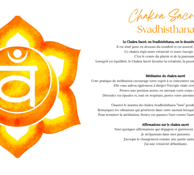 Fioles des sept chakras en verre avec pierres et plantes pour équilibrage énergétique