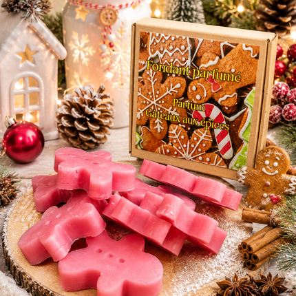 Fondants parfumés artisanal gâteau aux épices édition Noël