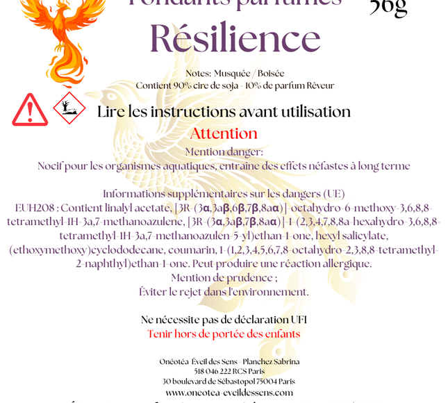 Lot de 4 fondants parfumés Résilience musqués et boisés