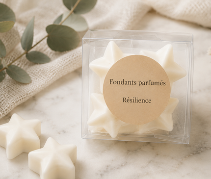 Lot de 4 fondants parfumés Résilience musqués et boisés artisanaux