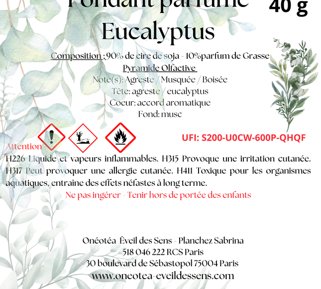 Lot de 2 fondants parfumés eucalyptus pour purification et fraîcheur